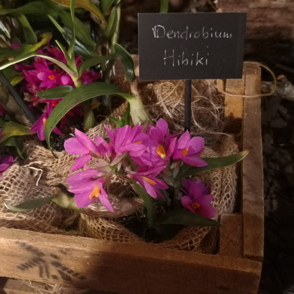 Fontfroide_2022